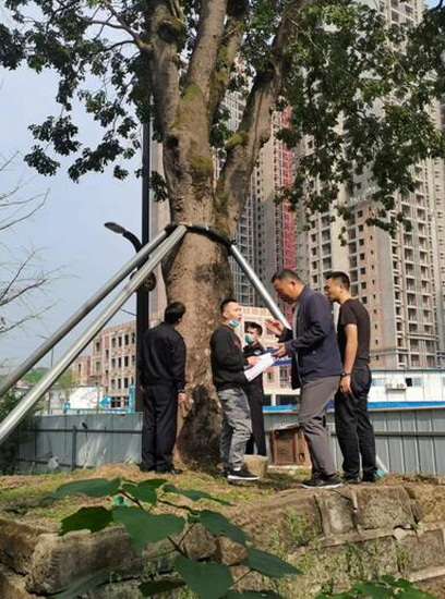 東興.jpg