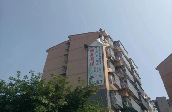 QQ圖片20221129095549.png