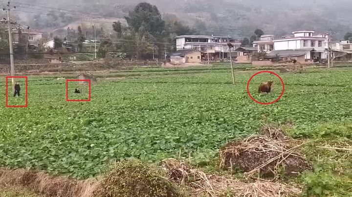 圖片1.png