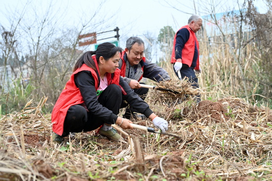 愿者正在清理雙橋鎮(zhèn)東山村鄉(xiāng)村公路沿線的雜草雜物2.jpg