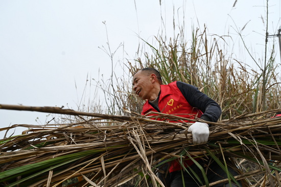 志愿者正在清理雙橋鎮(zhèn)司馬村鄉(xiāng)村公路沿線的雜草雜物.jpg