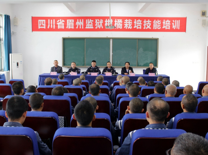 技能培訓(xùn)夯基礎(chǔ) 牢記囑托奔新生——四川省眉州監(jiān)獄開展“柑橘栽培技能培訓(xùn)”增強服刑人員回歸再就業(yè)能力 