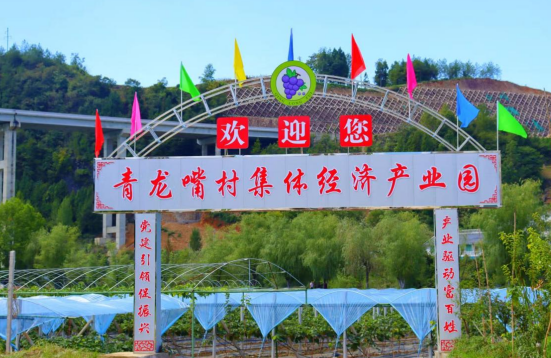 QQ圖片20240111101234.png