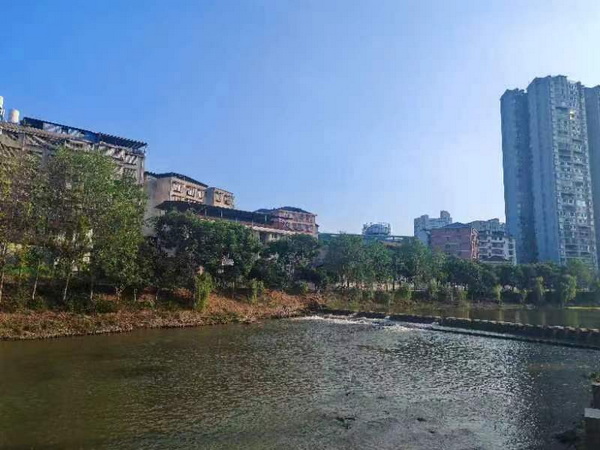 小鳥戲水.jpg
