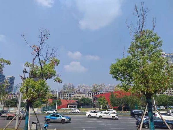 歲月.jpg