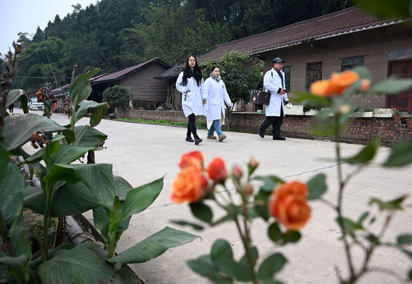 家庭醫(yī)生奔忙在各農(nóng)家院落1.JPG
