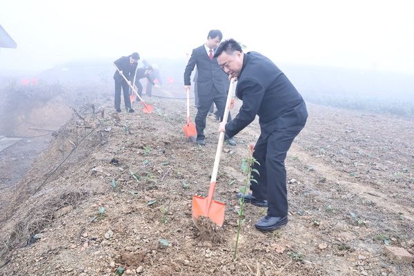 植樹現場 (1).JPG