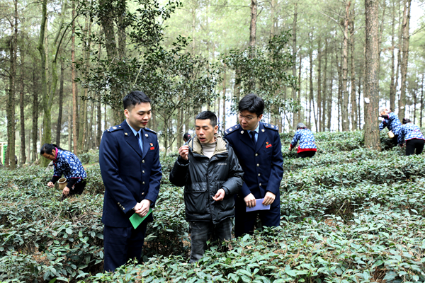 圖片 1.png