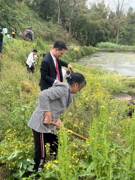 4-復植新苗，修復裂隙再續鄉土鄰里情 (1).jpg